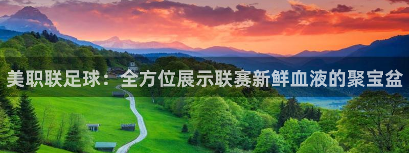 美职联足球：全方位展示联赛新鲜血液的聚宝盆